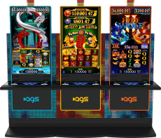 Características del software de AGS casino