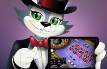 CoolCat Casino ruleta movil