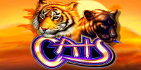 Cats Slots